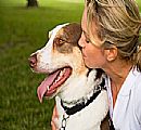 Veterinaria