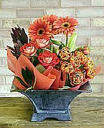 EL MEJOR SERVICIO DE JARDINERIA 