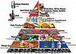 NUEVA PIRAMIDE NUTRICIONAL