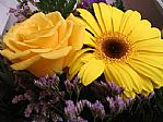 Flores de Seleccion
