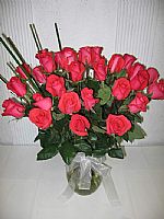 Rosas Rojas