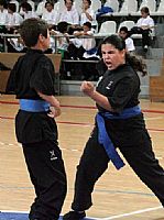  Kung Fú