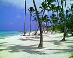 PUNTA CANA - para FIESTAS PATRIAS - tur