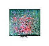 Cuadro Obra Panorama Lunar