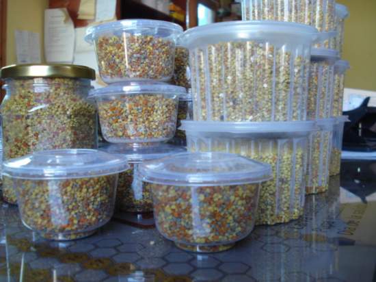 APICOLAS -www.colmenaresmujica.cl - COLMENARES MUJICA LTDA.- MÁQUINA