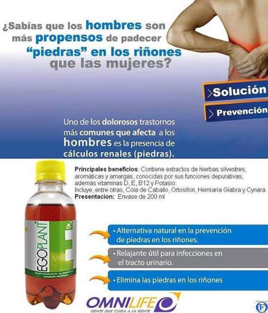 www.erickacornejo.com - Productos para deportistas www.erickacornejo.com - Productos para deportistas