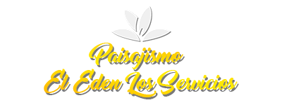 paisajismo y construcción de piscinas 